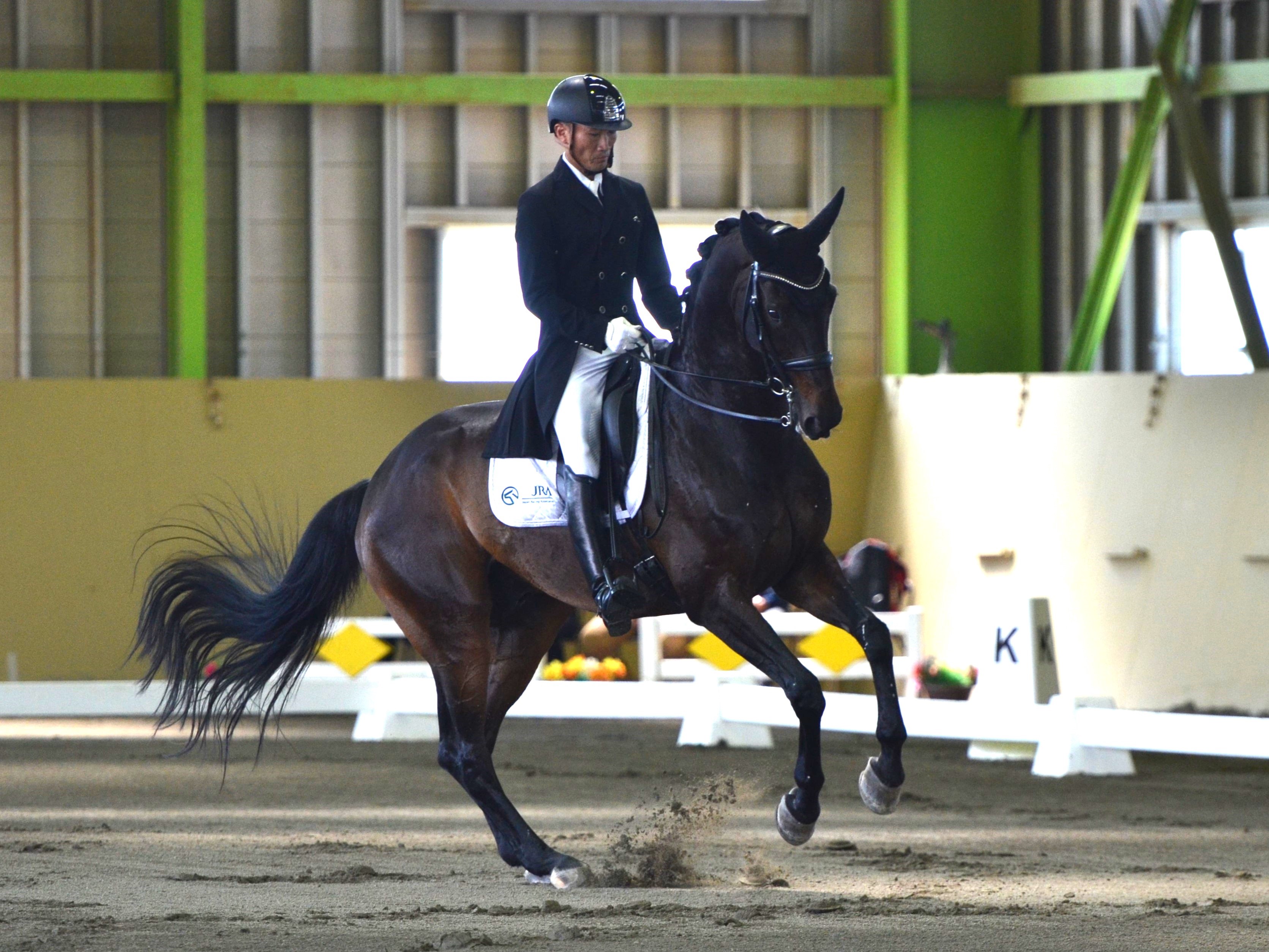 馬場馬術DVD 2枚組 ENJOYING DRESSAGE 1&2 全日本馬場PartⅡ・CDI・YDS》第2日レポート 公益社団法人 日本馬術